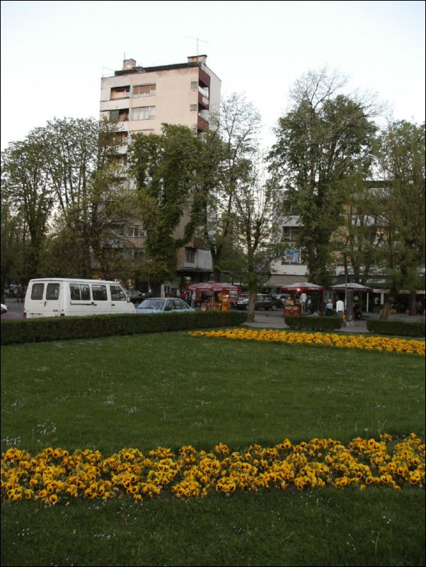 KIF_7555