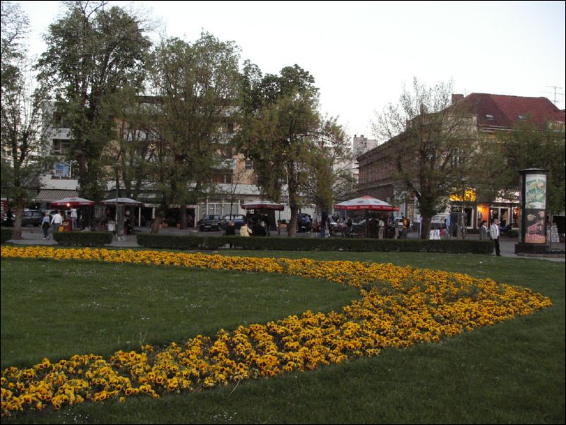KIF_7556