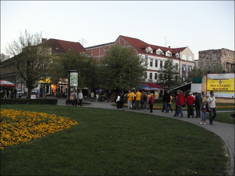 KIF_7557