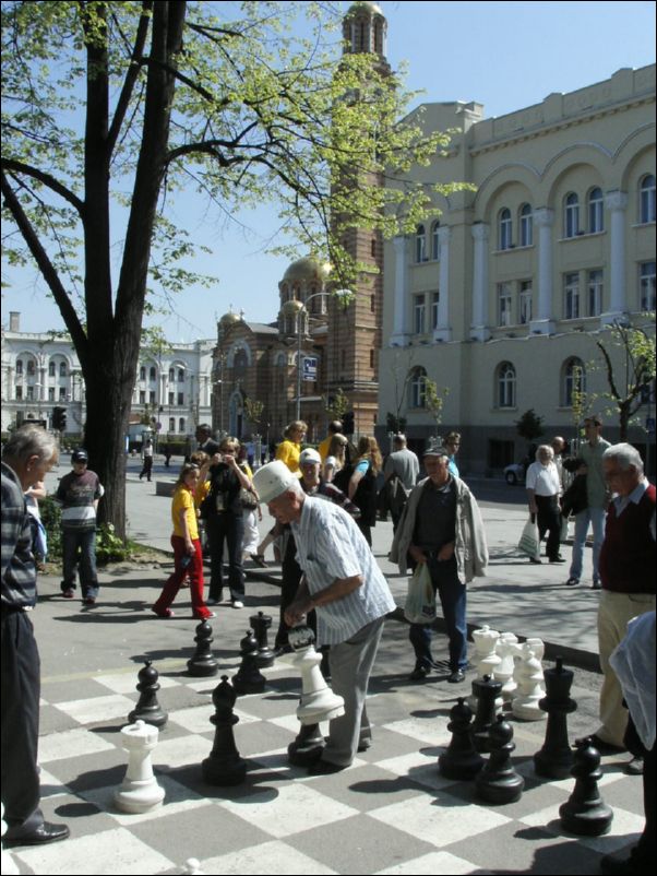 KIF_7644