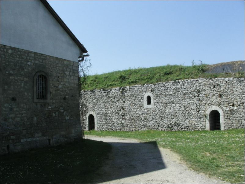 KIF_7674