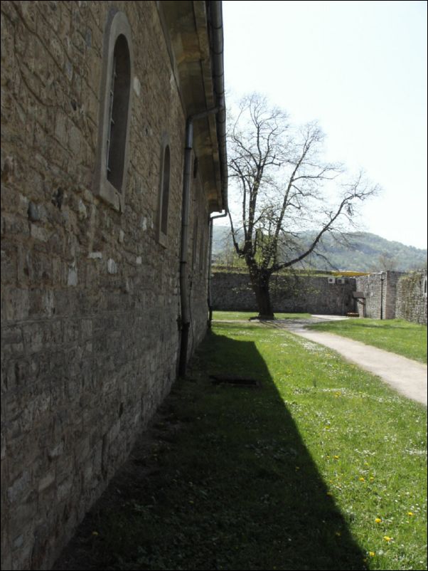 KIF_7677