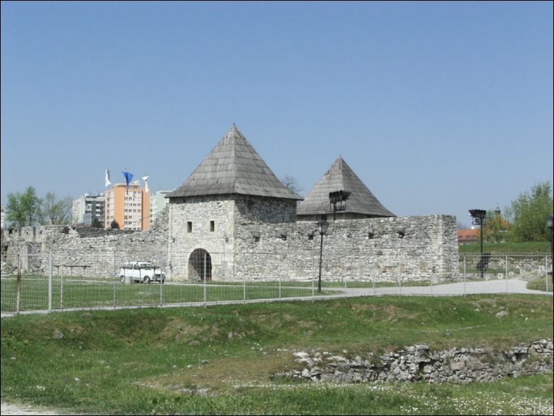 KIF_7681