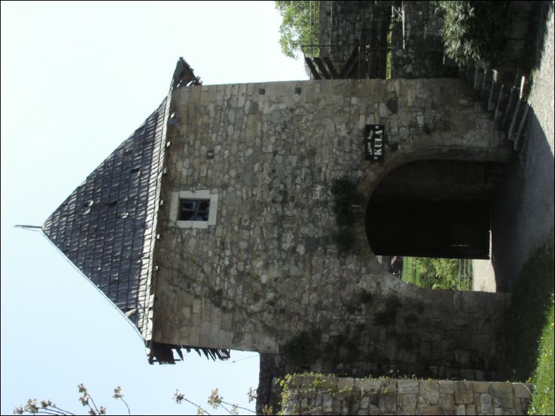 KIF_7691
