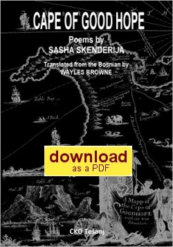 Sasha Skenderija: Cape of Good Hope (2011) - download