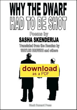 Sasha Skenderija: Why the Dwarf had to be Shot (2008) - download